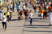 IMG-0467