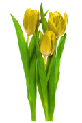 eastertime-12