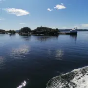 IMG_20230908_213057_648