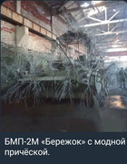 https://i.postimg.cc/8sDWwHRV/photo-2026-08-20-10-33-47.jpg