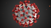 Coronavirus-23311.png