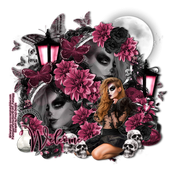 PinkNights~VM~PP18~WelcomeSnag