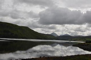 DSC-0091.jpg
