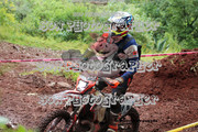 IMG-6466