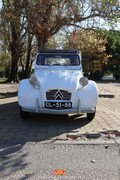 IMG-7422