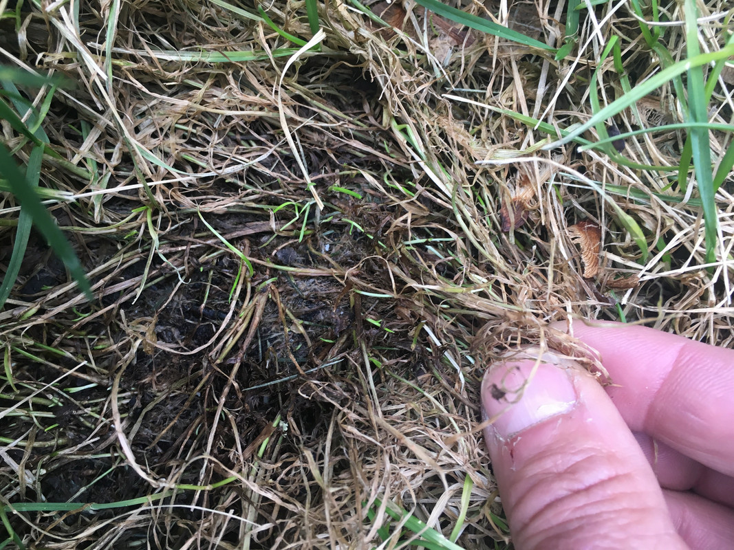 BD61D00F-C0BF-4CD2-ADF9-E6EC8A5D46EF