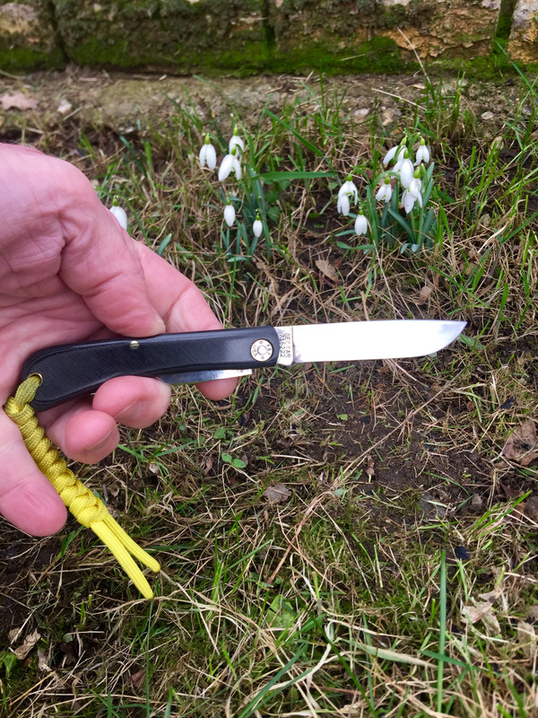 FA3DBA29-8EBF-4267-B24C-FE71824503D9