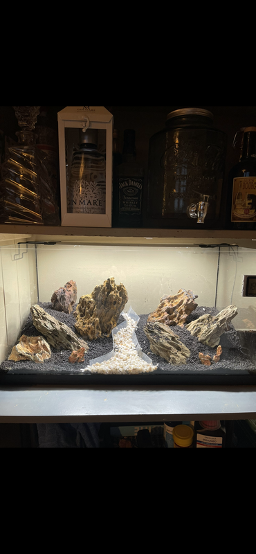 D483406F-9474-4E02-BA7B-A9C443496AC9