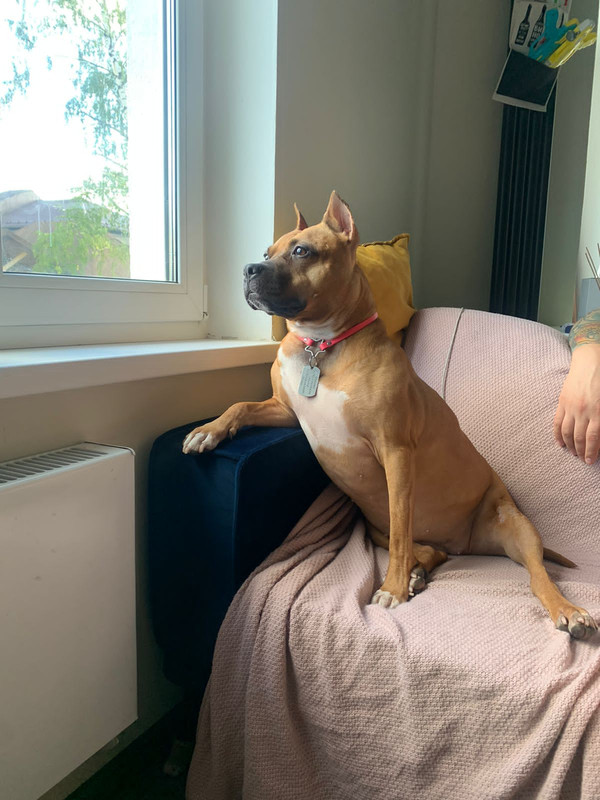 0F38D496-ACD6-4FED-888F-8DE25EADBCCB