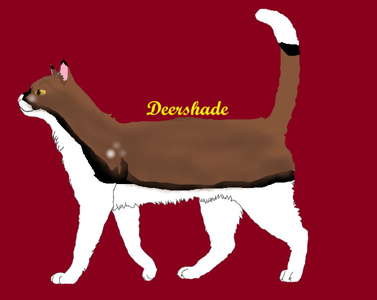 [Art shopje] Let's Try Aigan Deershade