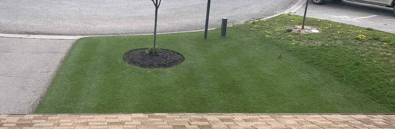 94F82D40-A151-4AAC-9124-7C7A81FB8DDC