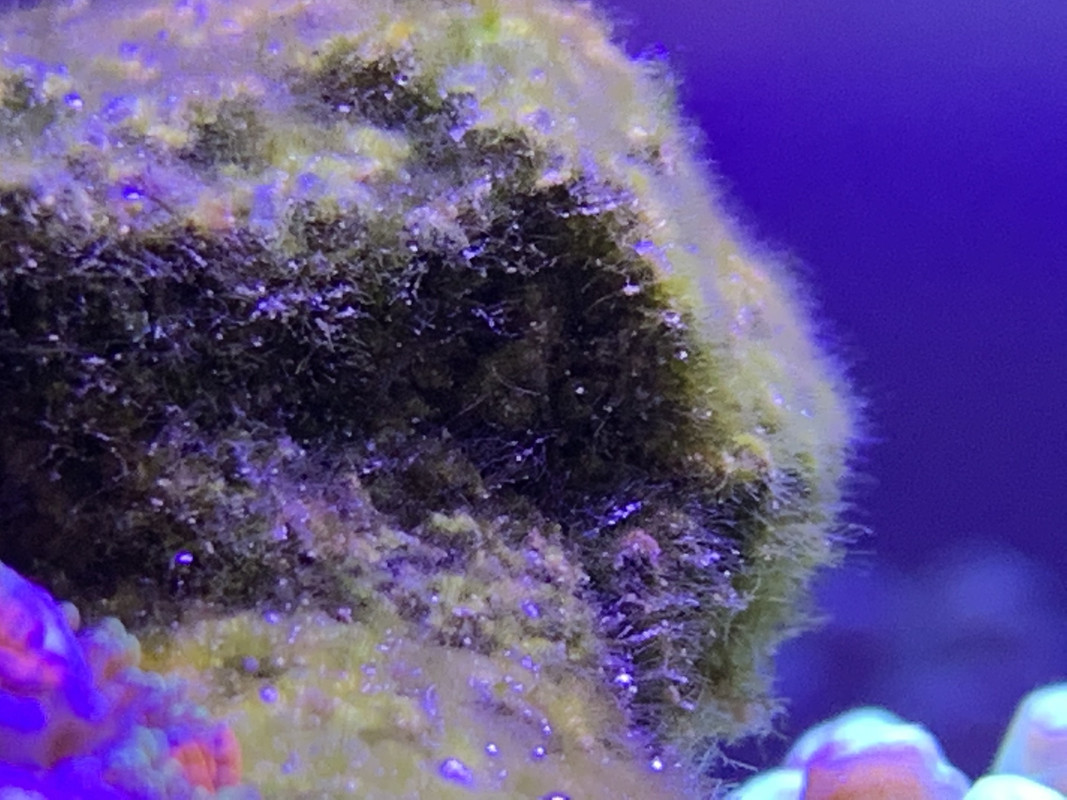 F640F7A0-582A-4E2F-9D99-12789B4061D9