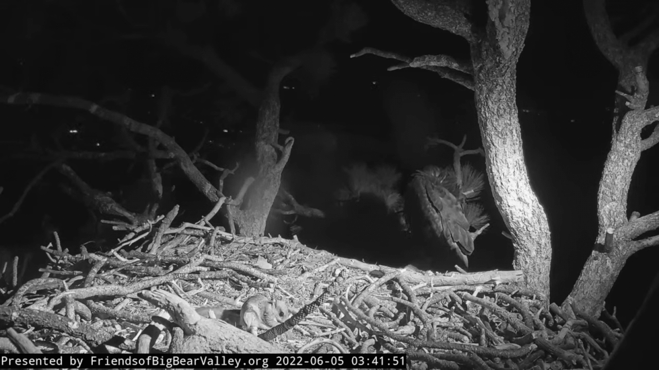 Webp.net-gifmaker (12)