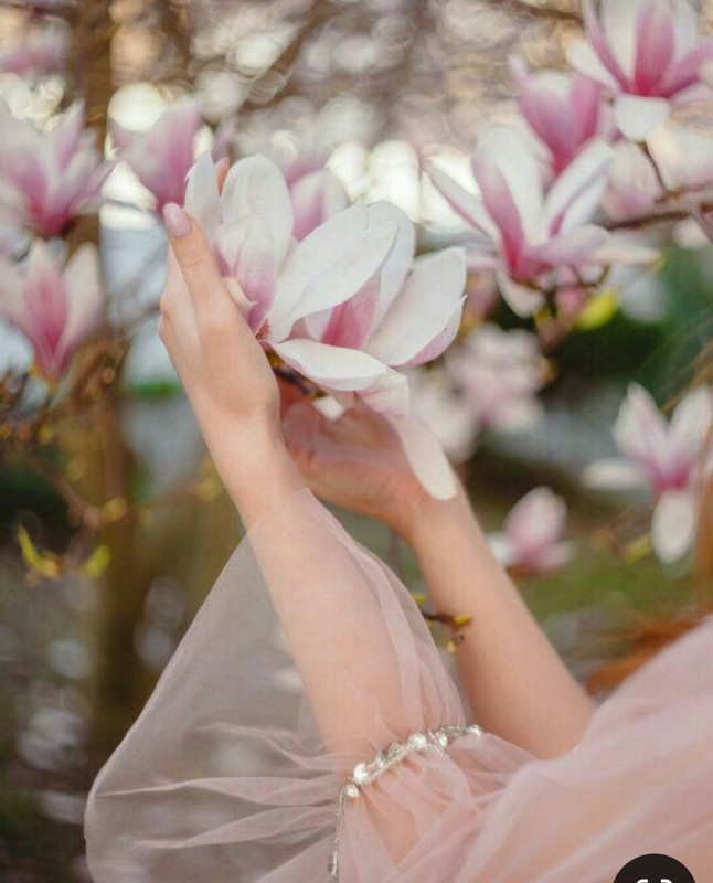 Screenshot_20240609_144457_Pinterest