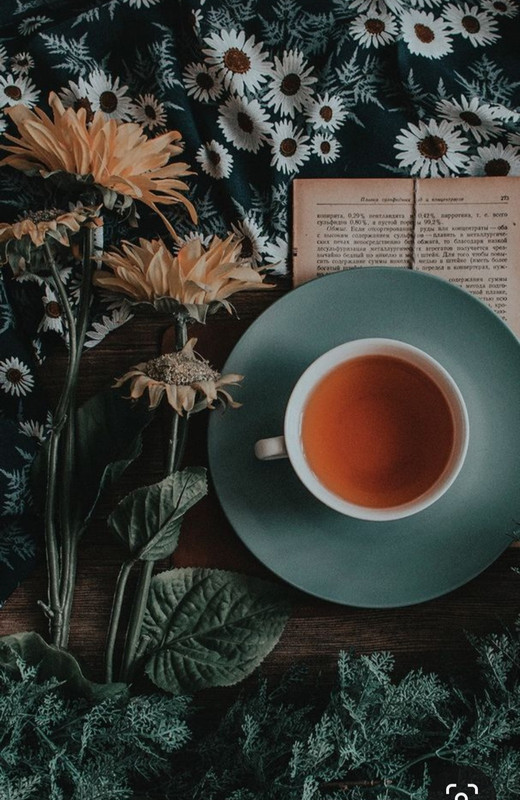 Screenshot_20230923_173457_Pinterest