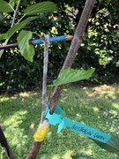 52586646-976C-46B7-B7B9-DA53D06FF35B