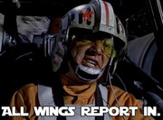 All Wings Report In
