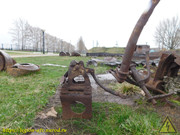DSCN6782