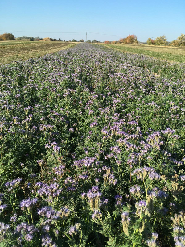 5AD2C2ED-62D5-42E7-85AD-3FC657747B3B