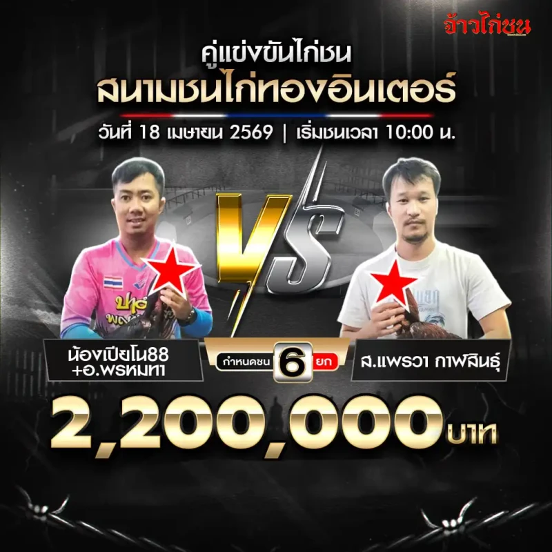 น้องเปียโน 88 อ.พรหมทา พบ ส.แพรวา กาฬสินธุ์ สนามชนไก่ทองอินเตอร์