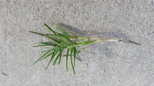 z20180816_153620_resized (6)