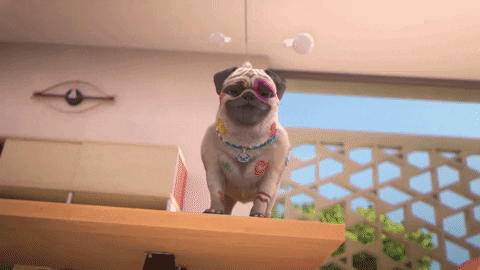 IMG-1202.gif