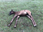 68-AEF9-BA-7-E75-4-E35-B8-F6-3-E3-ED7320-CA9