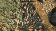 Screen-Shot2