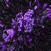 MVDLavender-Love-Paper-005