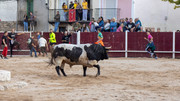 IMG-0092