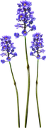 0-1c0e29-bc938796-orig
