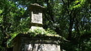 DSC00136