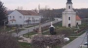 Kép