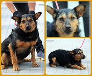 Be-Funky-collage-25.jpg&key=2fa5c378e630