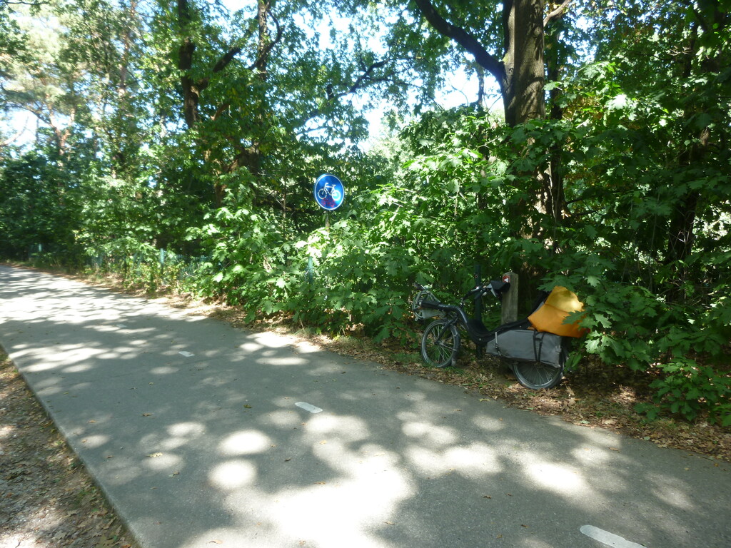 [Afbeelding: P1030696.jpg]