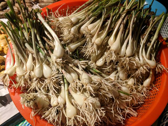 [Image: IMG-20190125-213401.jpg]