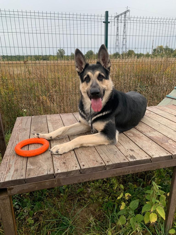 uxjtNO_8Lg19x21ih0T0RgX0RS0A9mZ5AgF-8k39GHhvmNAbgTgdNtgzSn4aA3M0ULYUo_zfHFy5e_V5h7E_OOOT