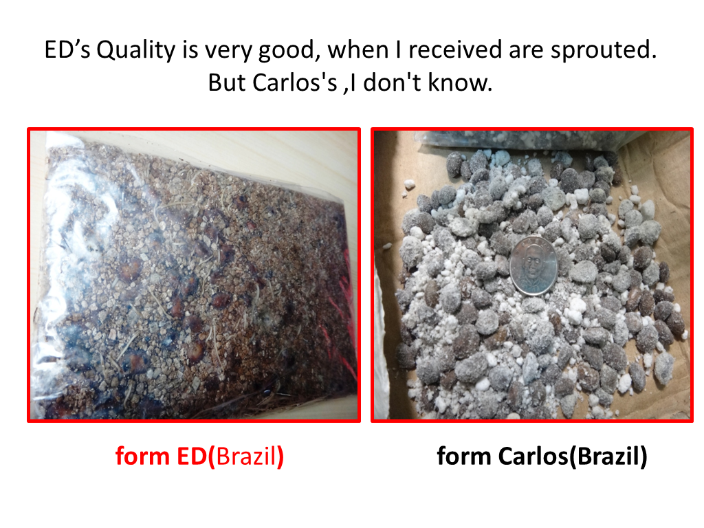 螢幕截圖 2013-12-20 10.33.27