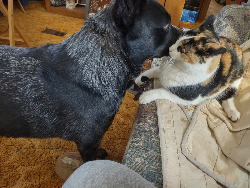 IMG_20220204_102910146_HDR