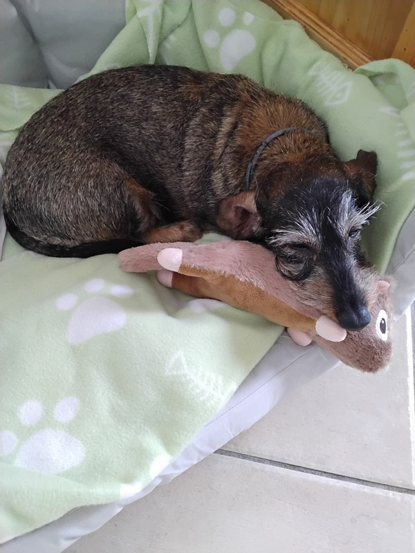 [Image: 20250911-140652.jpg]