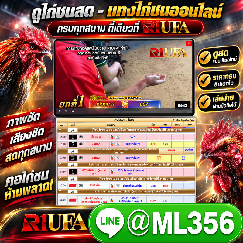 ดูไก่ชนสด ปี 2026
