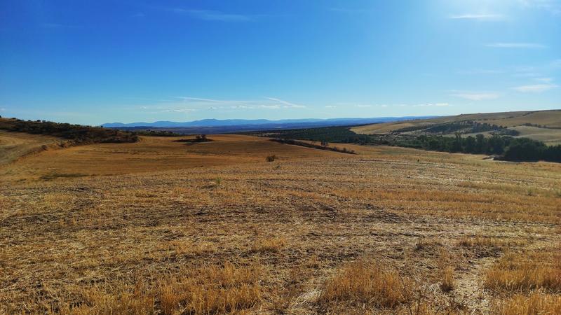 Barrancas de Burujón-2015/2025 - Toledo y sus pueblos-1996/2026 (59)