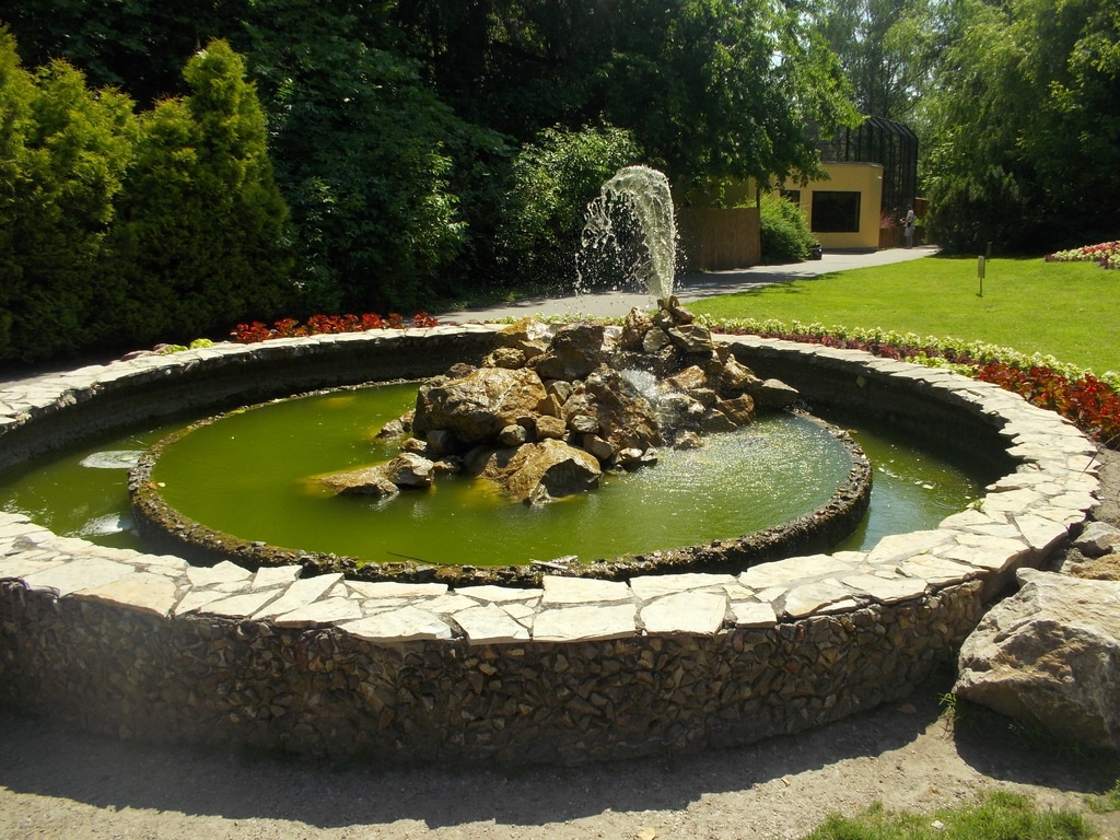 DSCN0338