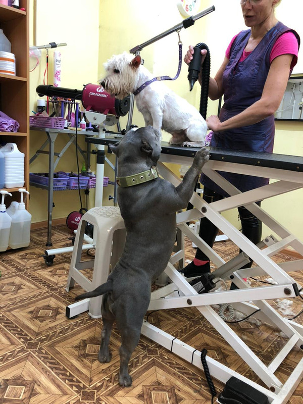 C065C64C-CF76-4819-B000-D638FA2AEE85