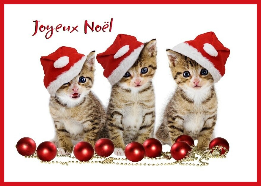 EE2BAF92-4414-48E6-9726-EB4E02E7F105