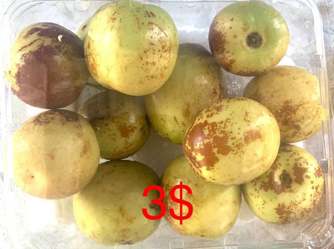 ពុទ្រាចិន