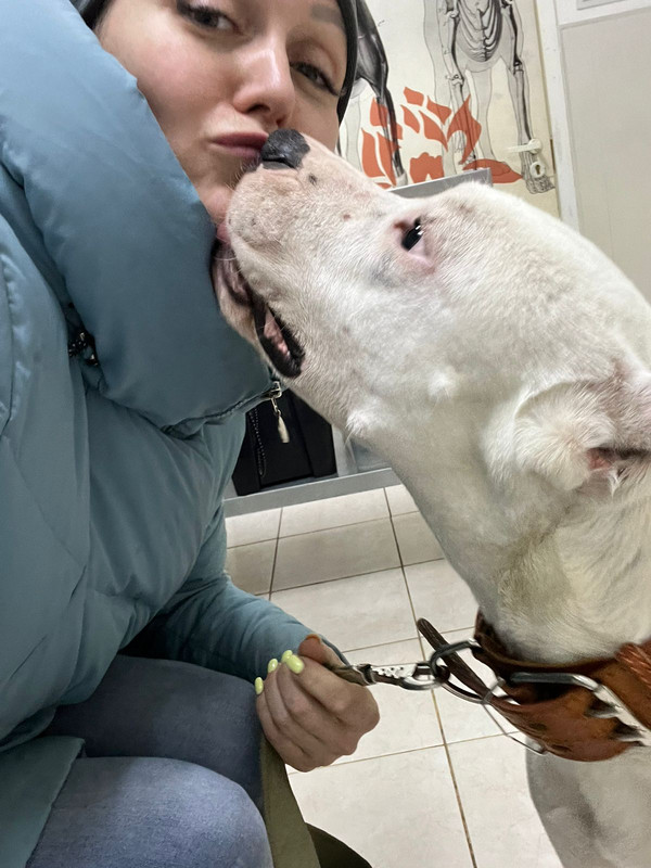 29133E0F-51CD-4AB4-B8C5-1ECCC9FA75B4