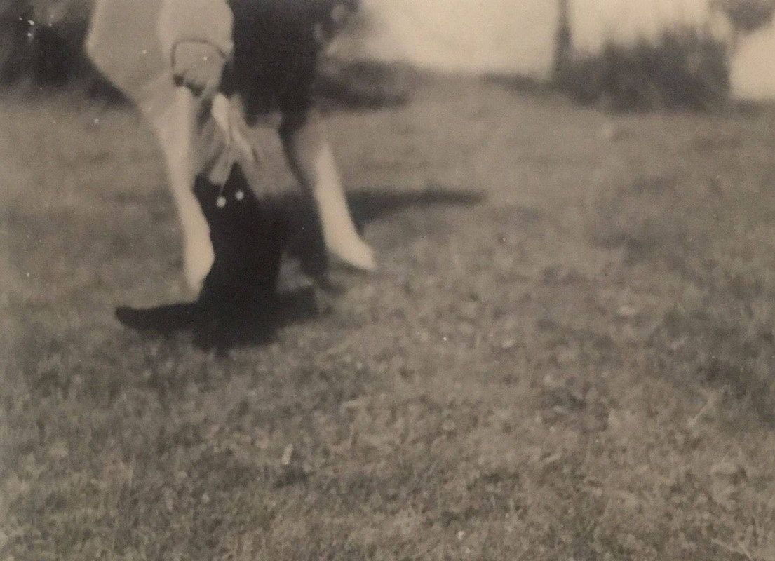 14612636-1131545730214954-1056076560946262601-o