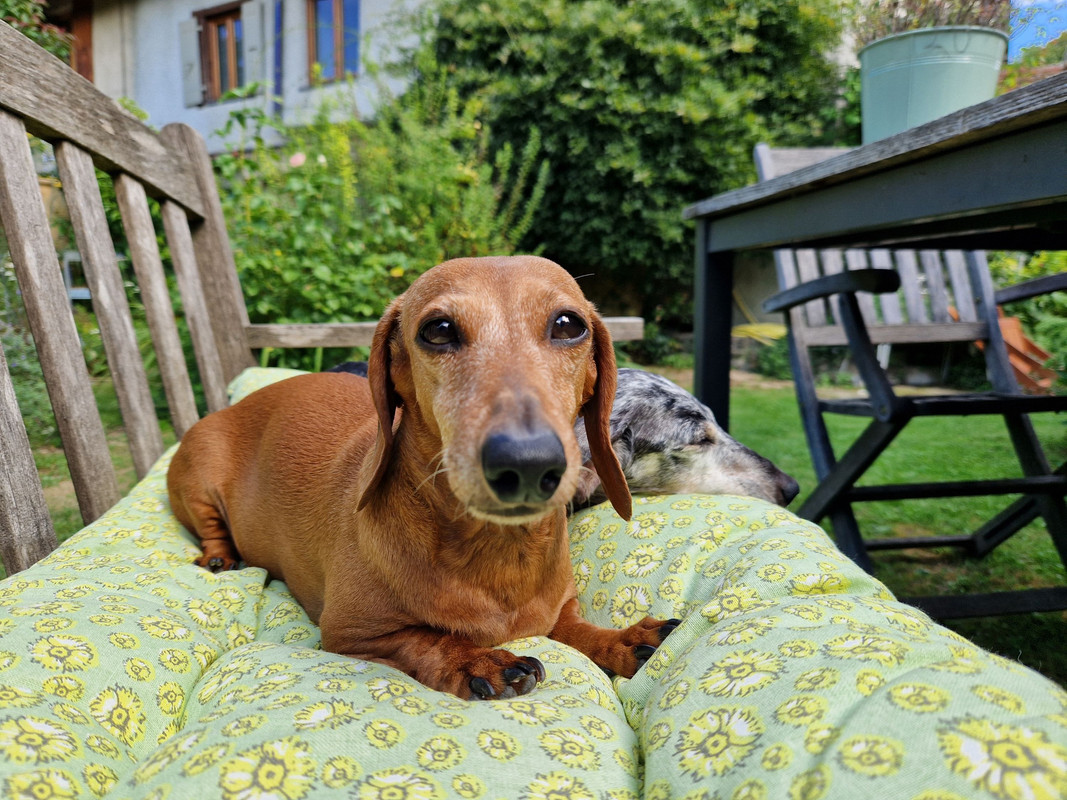 [Image: 20250801-161614-TSDF.jpg]