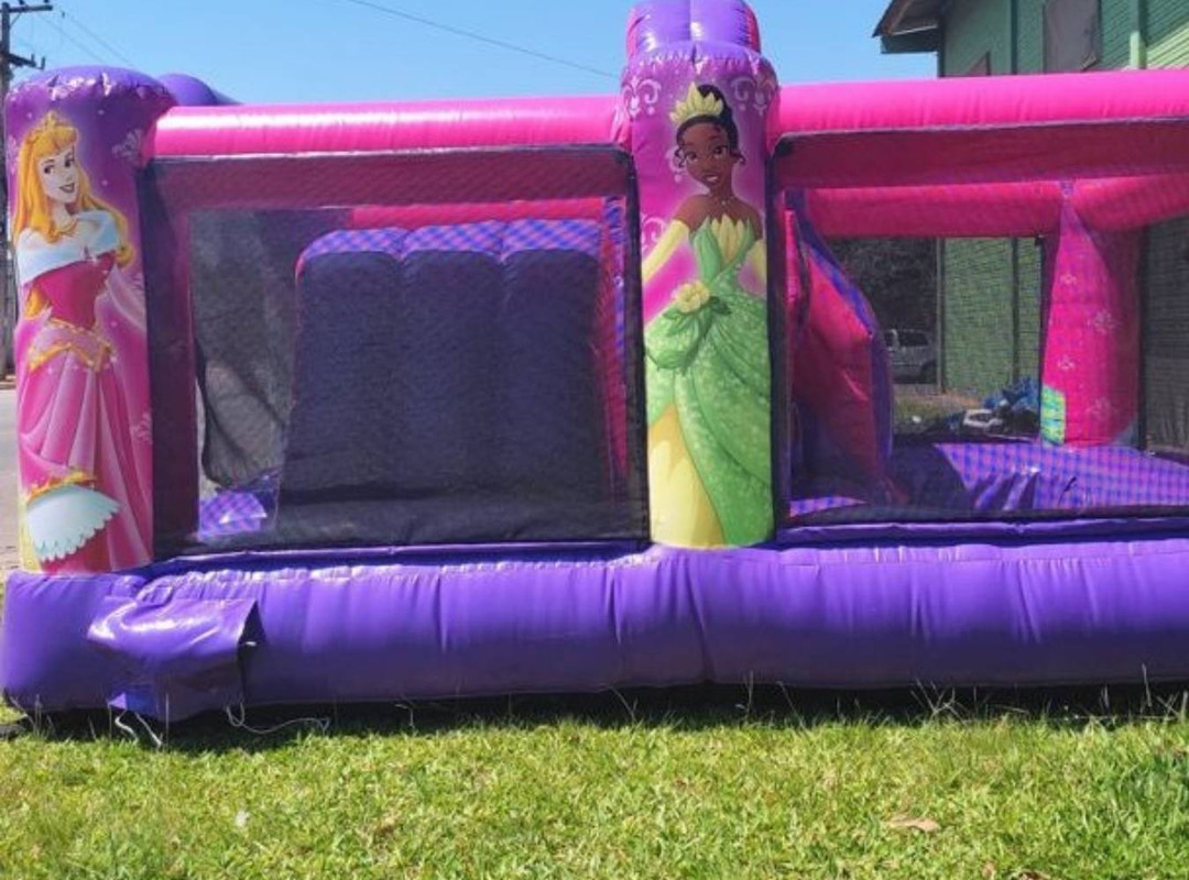 Pula-Pula das Princesas - Foto 2